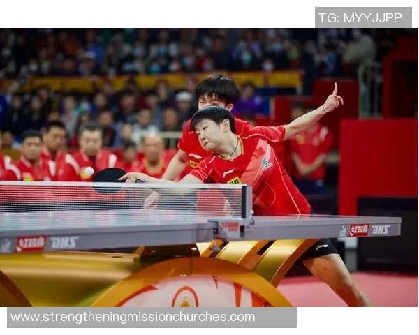 成都乒乓球队技术争议引发热议球迷与专家观点交锋分析 成都乒乓球队技术争议引发热议球迷与专家观点交锋分析