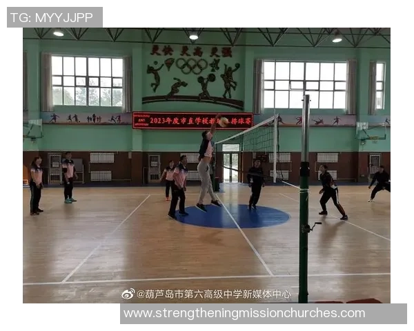 2026排球意识排行榜：武汉排球队位居第6名