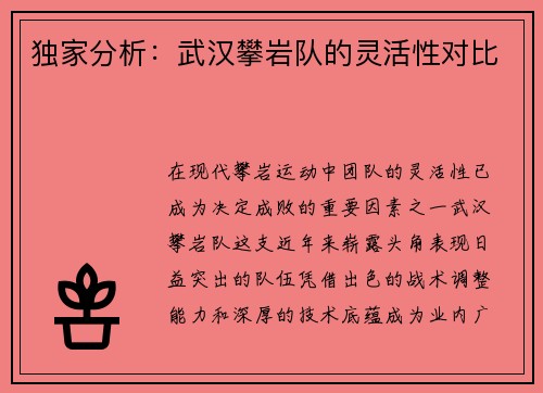 独家分析：武汉攀岩队的灵活性对比