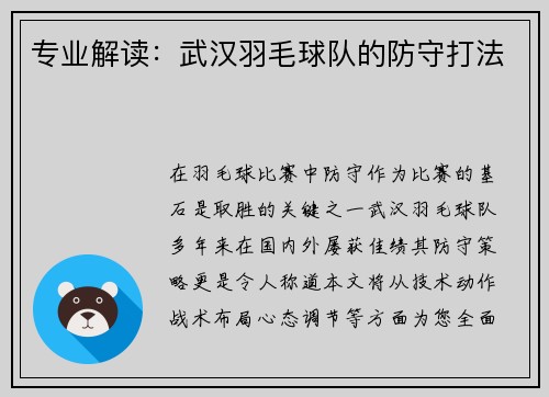 专业解读：武汉羽毛球队的防守打法